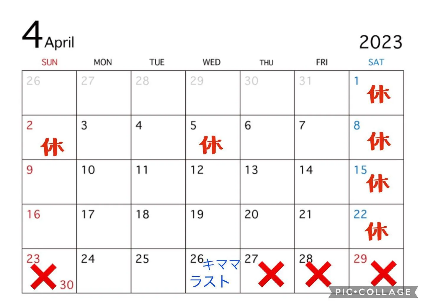2023/04/14とびっ子のカルボナーラ