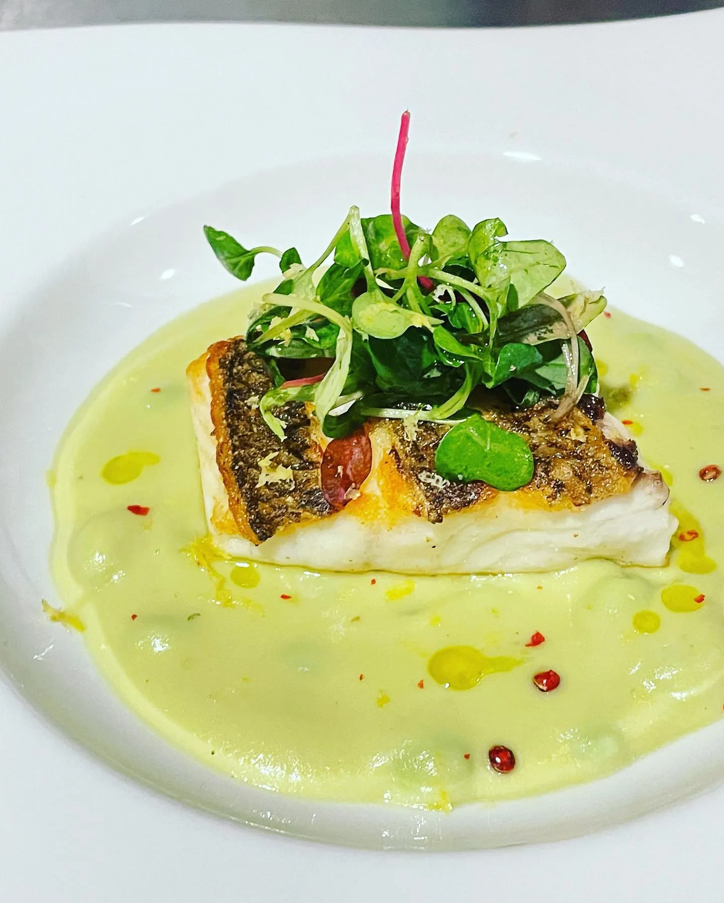 2023/08/29 本日オススメ！！