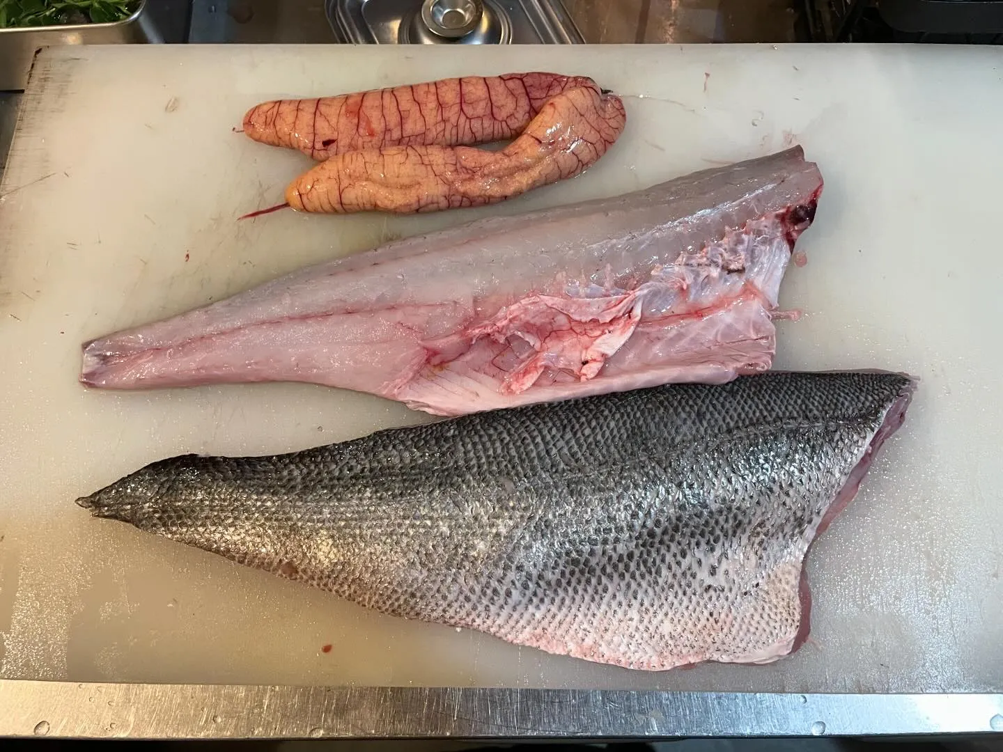 2024/01/23 本日スズキさん来店！！