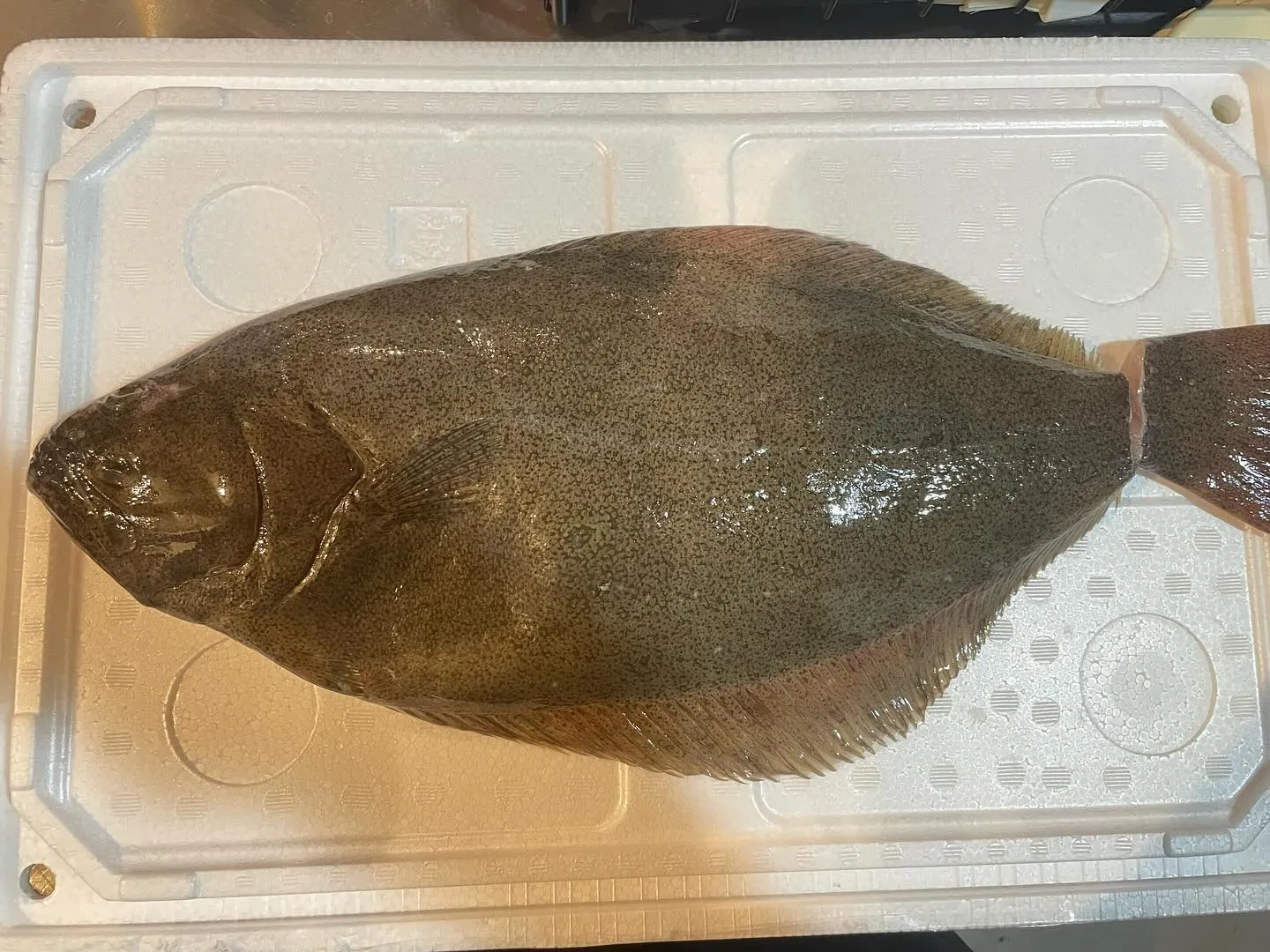 2024/02/20 ヒラメ入りましたのでカルパッチョ！！