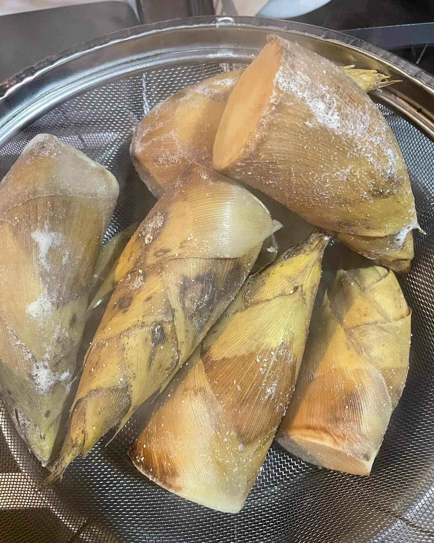 2024/03/14 筍と山菜のベニエ復活！！