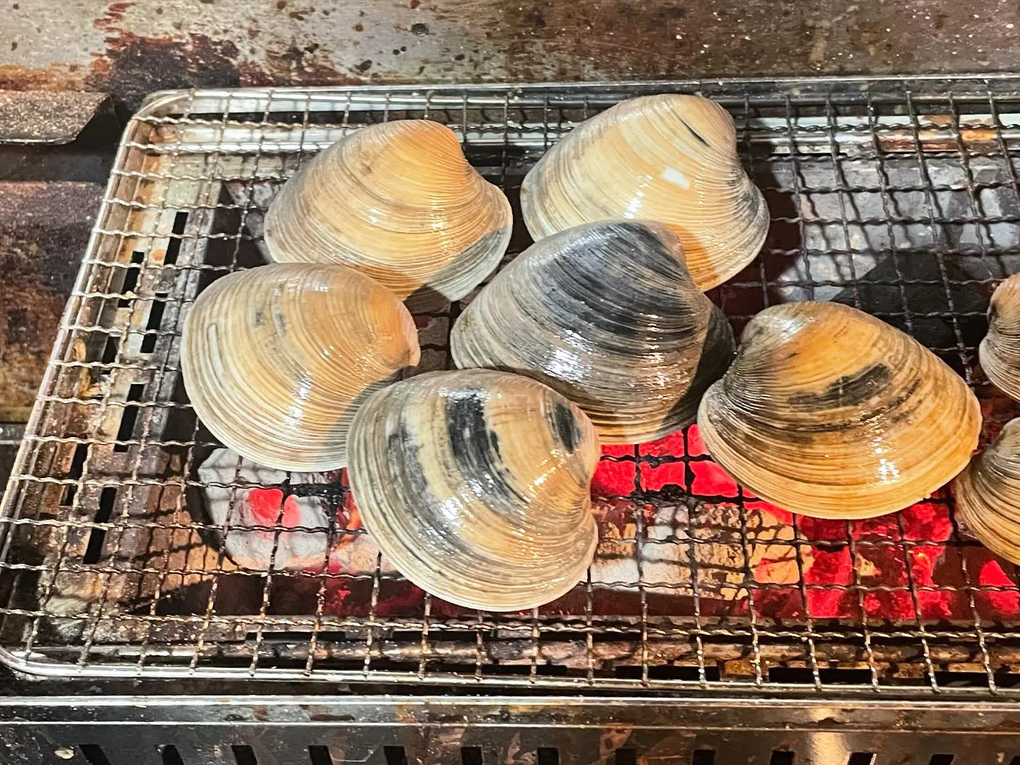 2024/08/13 今週も海の家ニンカシはじまりました！！